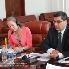 Развитие партнерства и адвокация